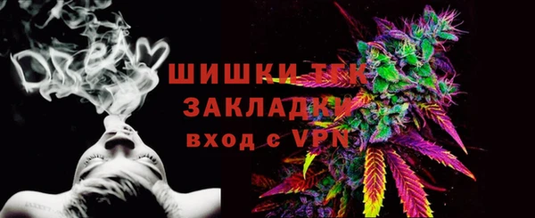сатива Михайлов