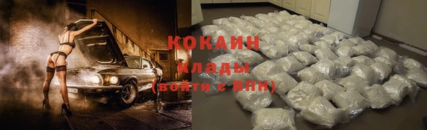 твердый Михайловск