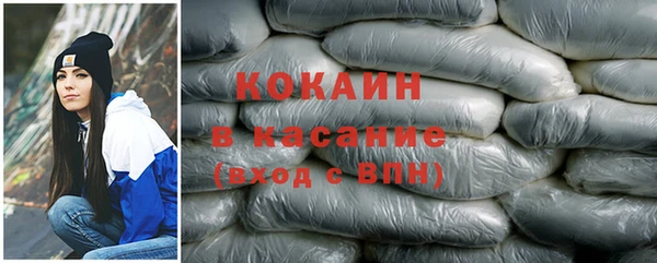 сатива Михайлов