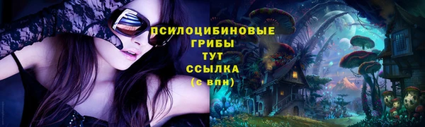 твердый Михайловск