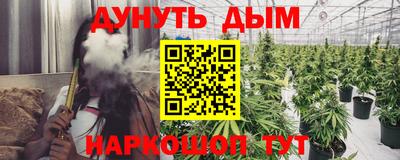 ПСИЛОЦИБИНОВЫЕ ГРИБЫ Камышлов