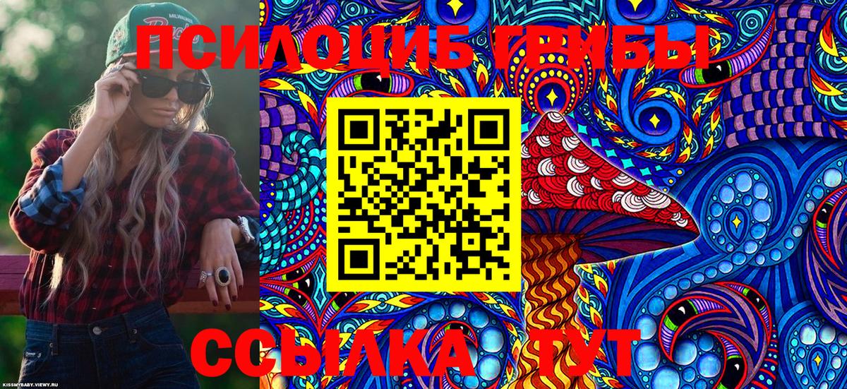 Назрань  Псилоцибиновые грибы Cubensis  купить  сайты  Вход с VPN 